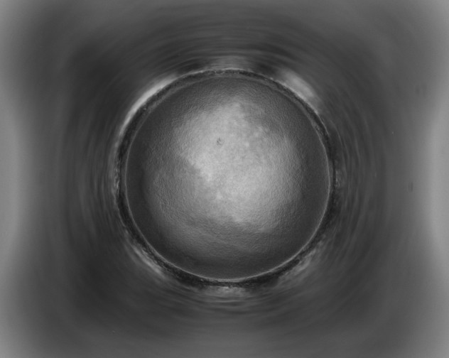 X0000086771119200704201759