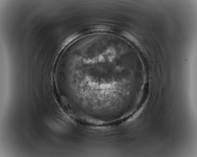 X0000086771121200704201759