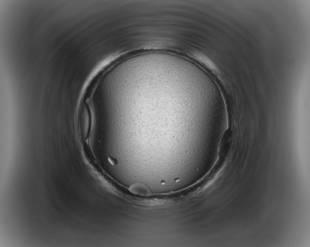 X0000086771122200704201759