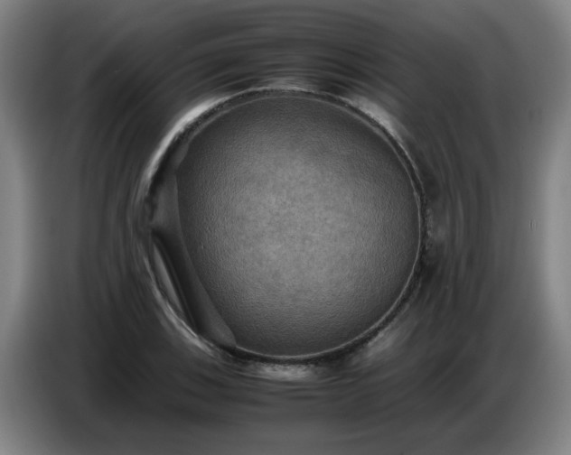 X0000086771123200704201759