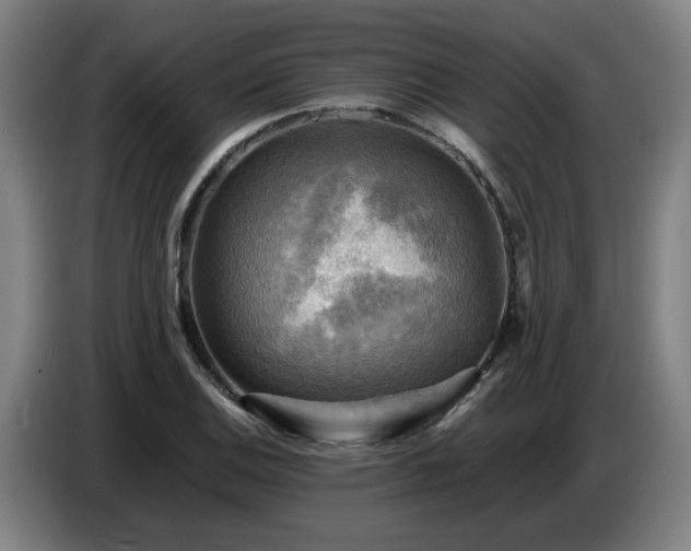 X0000086771124200704201759