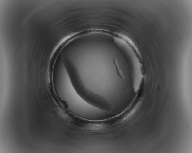 X0000086771125200704201759