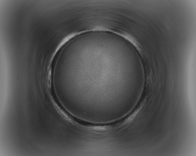 X0000086771126200704201759