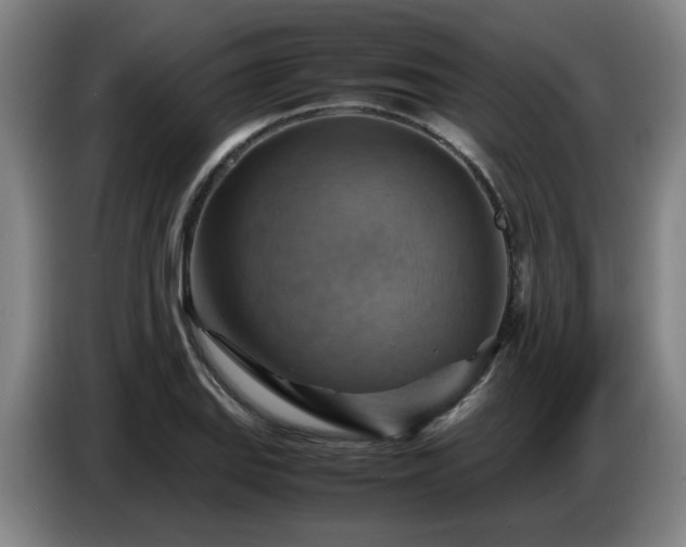 X0000086771127200704201759