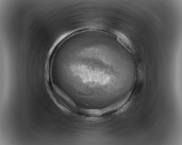 X0000086771128200704201759