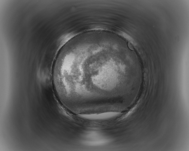 X0000086771129200704201759