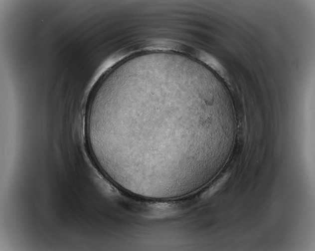 X0000086771130200704201759