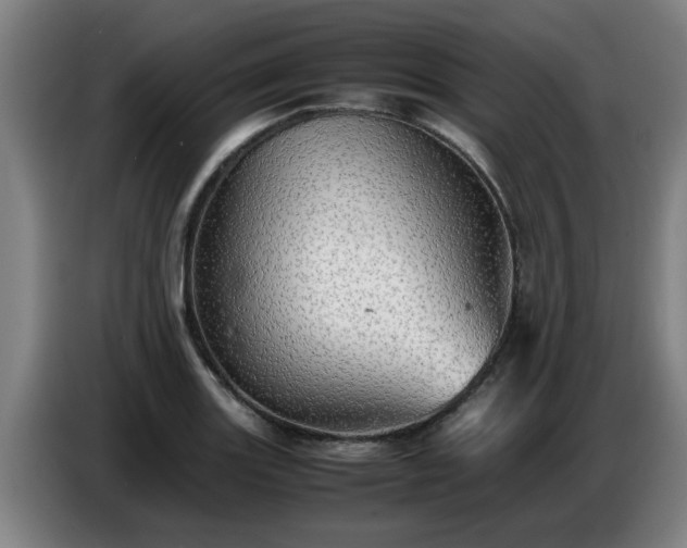 X0000086771131200704201759