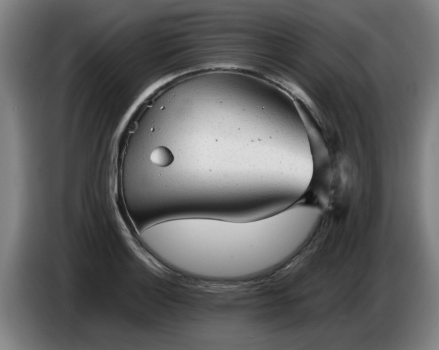 X0000086771132200704201759