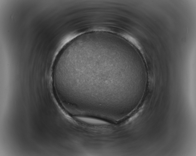 X0000086771133200704201759