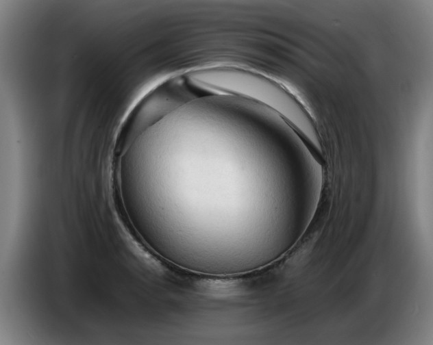 X0000086771134200704201759
