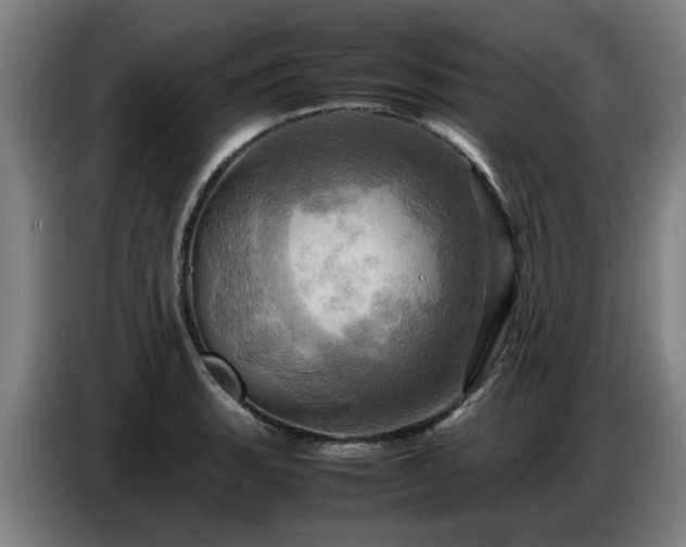 X0000086771135200704201759