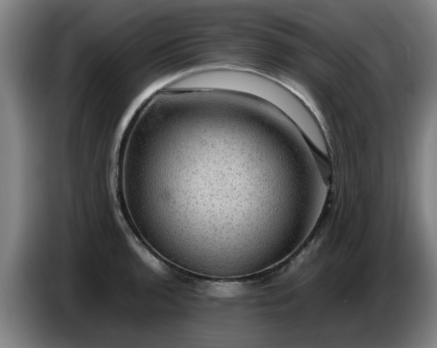 X0000086771136200704201759