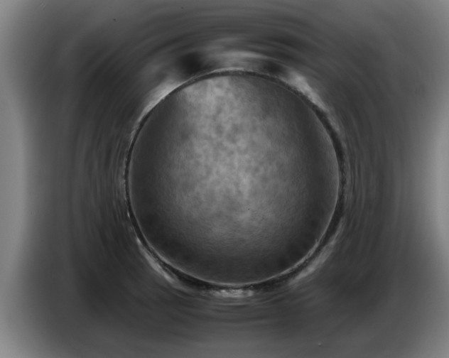 X0000086771137200704201759