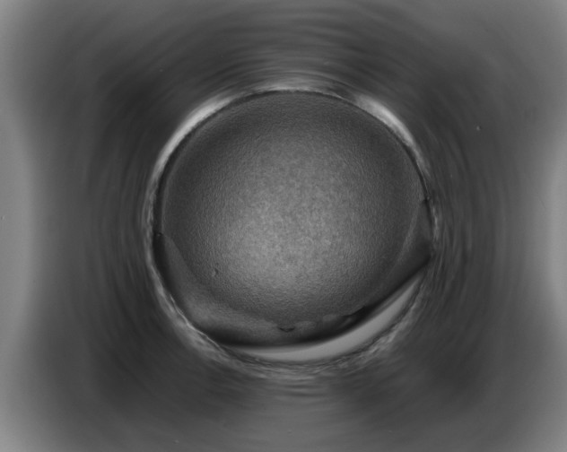 X0000086771138200704201759