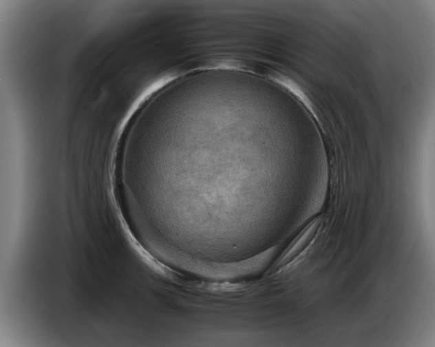 X0000086771139200704201759