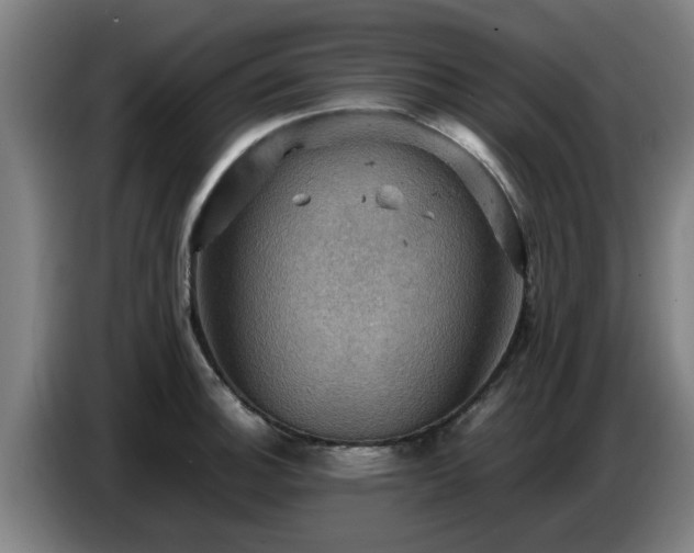 X0000086771140200704201759