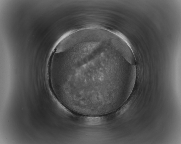 X0000086771142200704201759