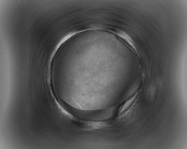 X0000086771143200704201759