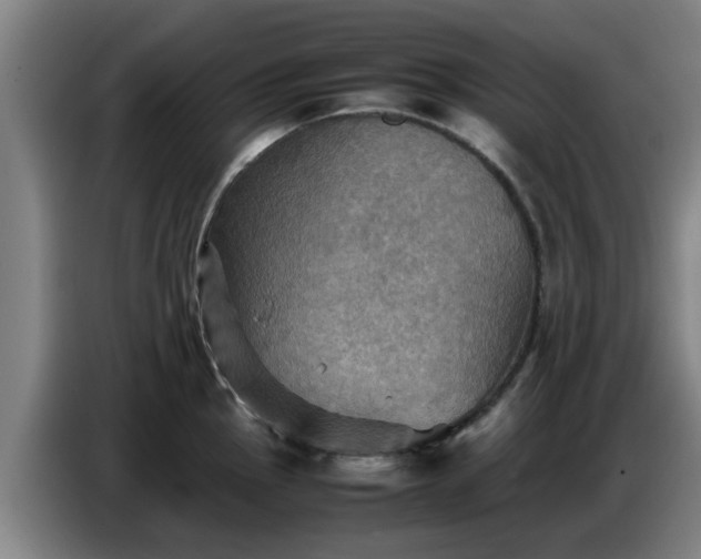 X0000086771145200704201759