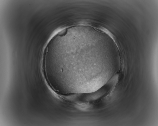 X0000086771147200704201759