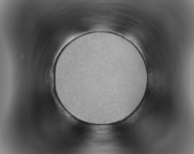 X0000086771150200704201759