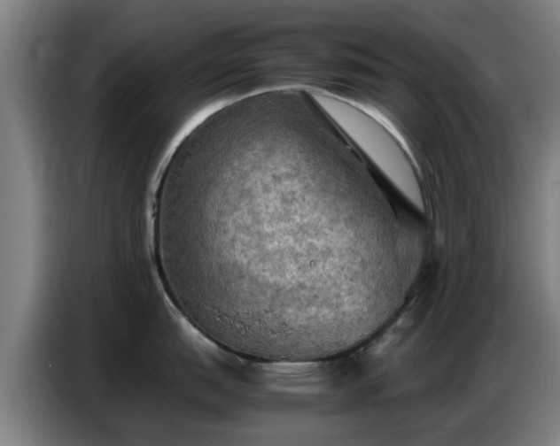 X0000086771151200704201759