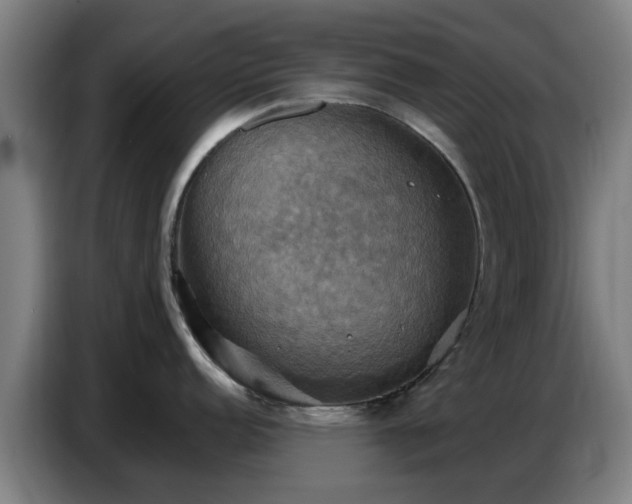 X0000086771152200704201800