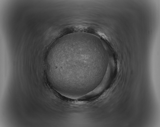 X0000086771153200704201759