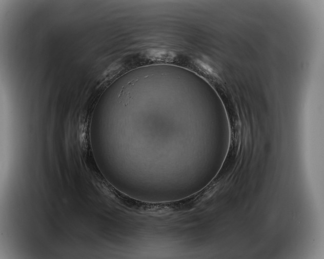 X0000086771154200704201759