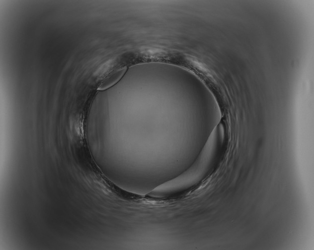 X0000086771155200704201759