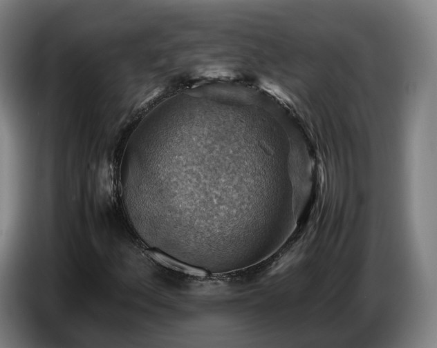 X0000086771156200704201759