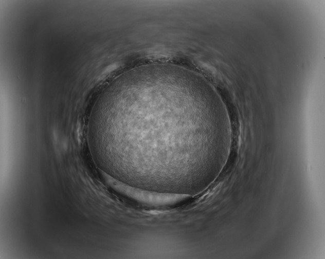 X0000086771157200704201759