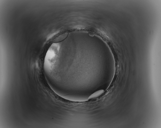 X0000086771158200704201759