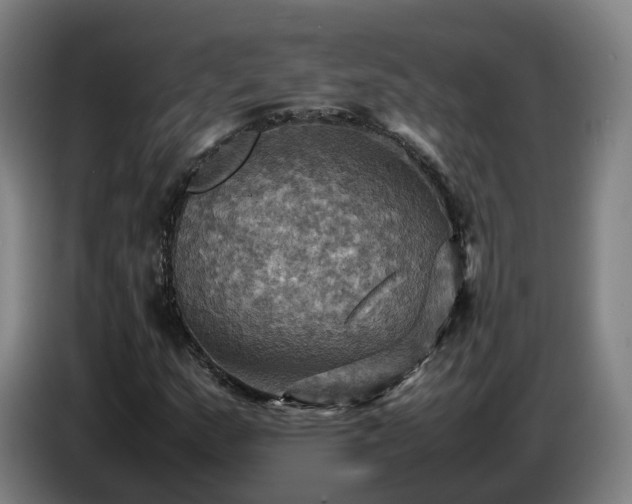 X0000086771159200704201759