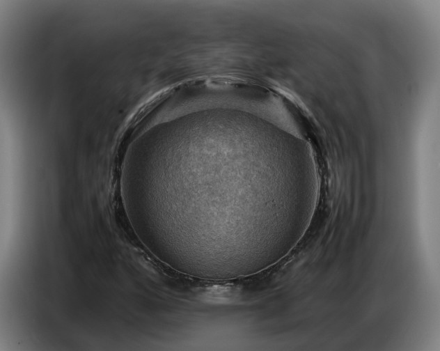 X0000086771160200704201759