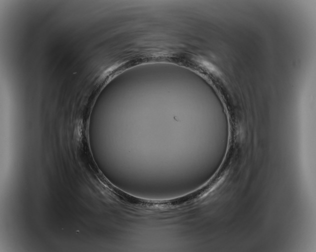 X0000086771161200704201759