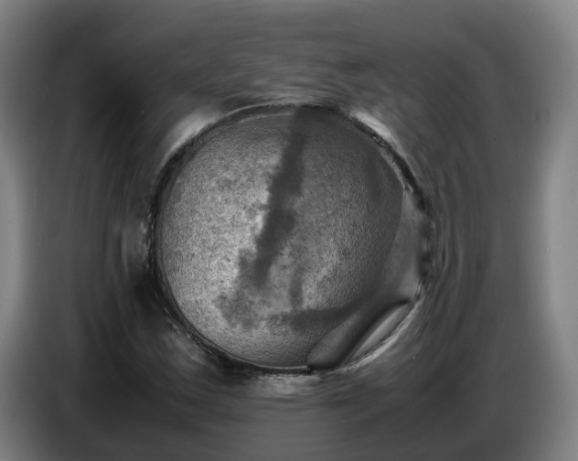X0000086771163200704201759