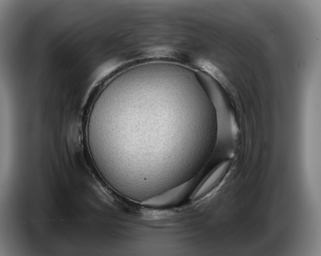 X0000086771164200704201759