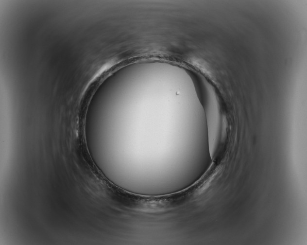 X0000086771165200704201759