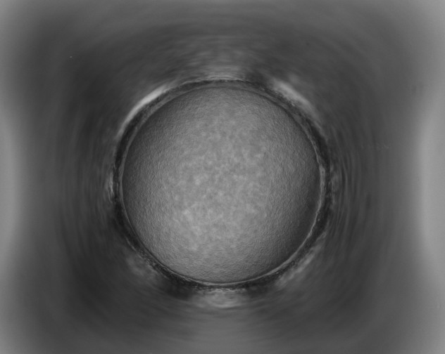 X0000086771166200704201759