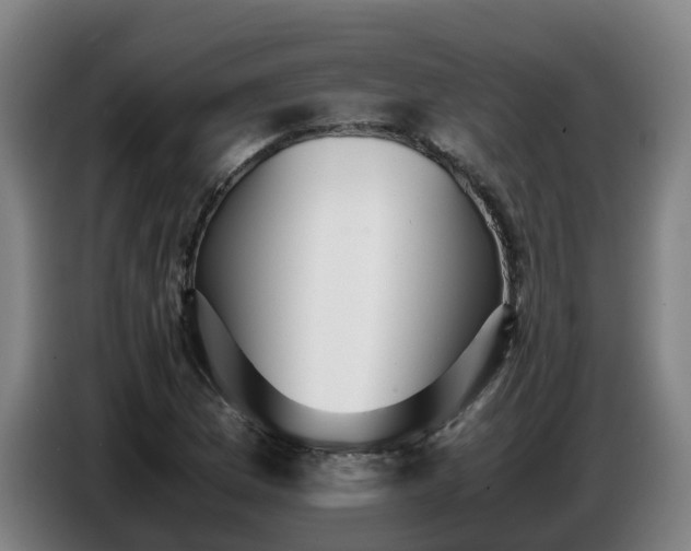 X0000086771169200704201759