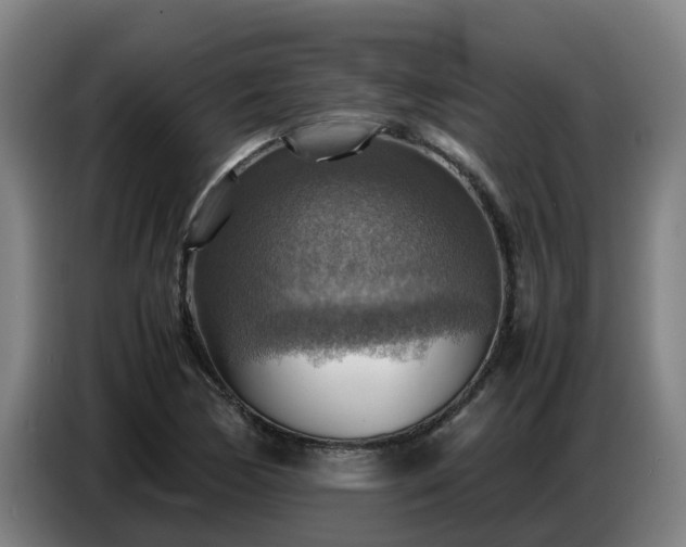 X0000086771170200704201759
