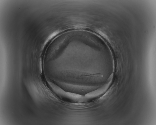 X0000086771171200704201759