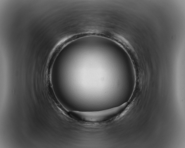 X0000086771172200704201759