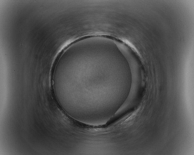 X0000086771173200704201759