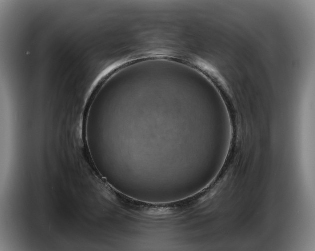 X0000086771174200704201759