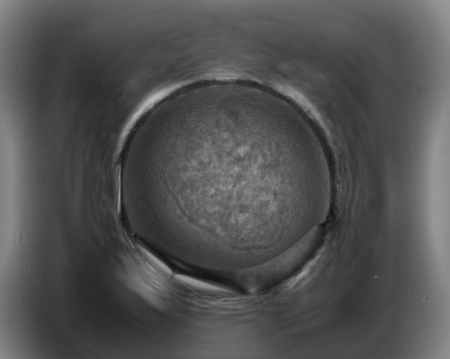 X0000086771175200704201759
