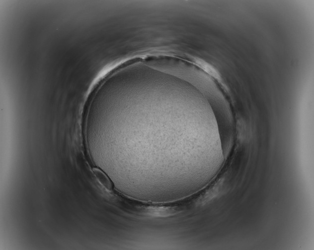 X0000086771176200704201759
