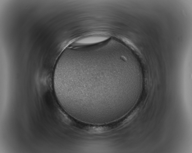 X0000086771177200704201759